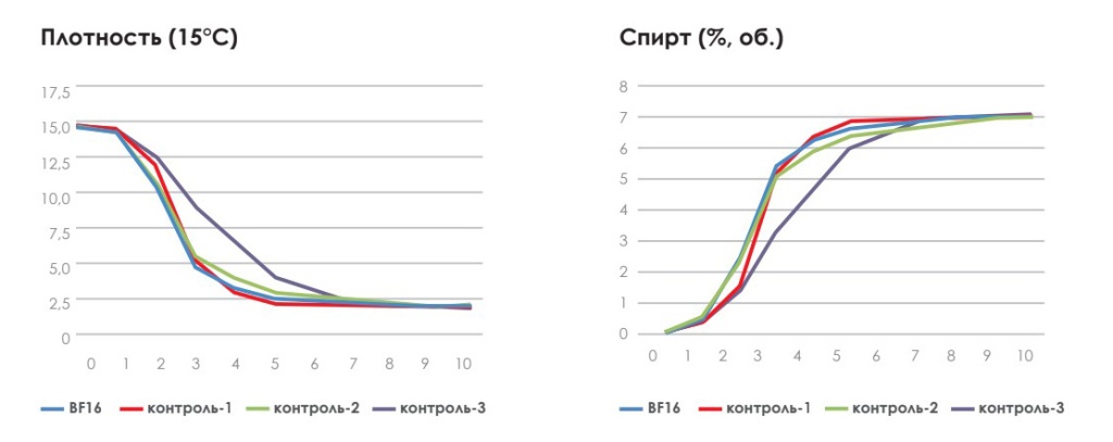 График брожения BF16